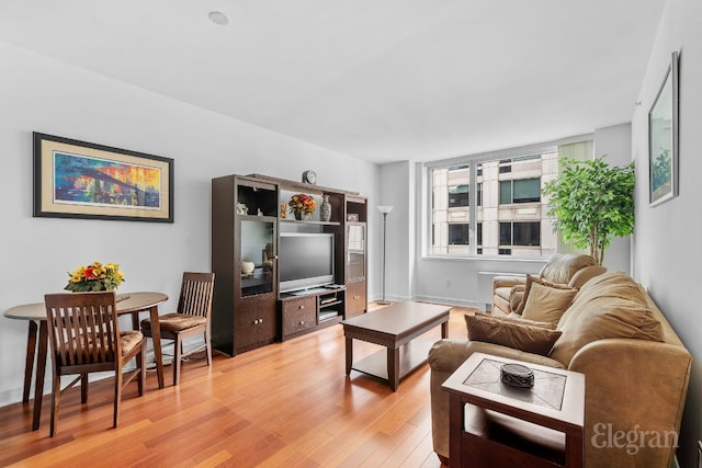 living room featuring light wood-type flooring