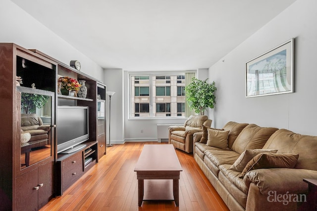 living room with light hardwood / wood-style flooring