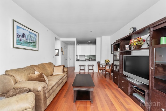 living room featuring light hardwood / wood-style floors