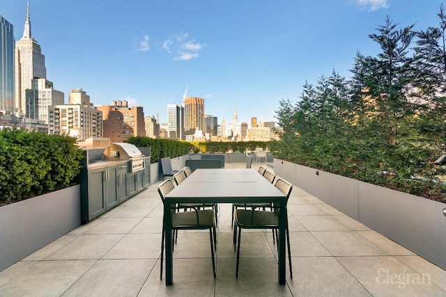 view of patio / terrace featuring area for grilling