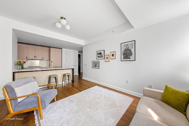 living room with dark wood-type flooring, sink, and a raised ceiling