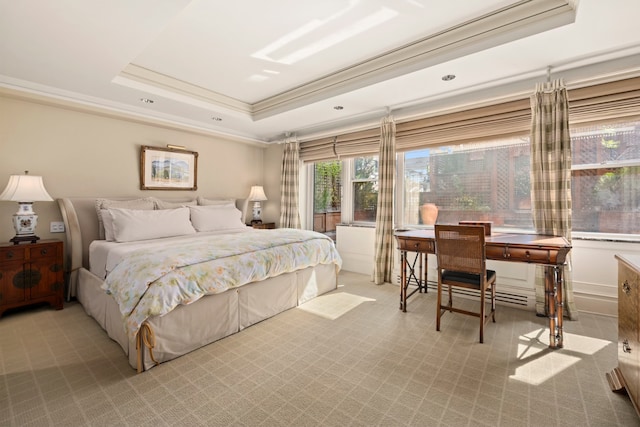 bedroom featuring a raised ceiling