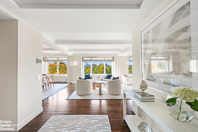 entrance foyer with plenty of natural light, beam ceiling, baseboards, and wood finished floors