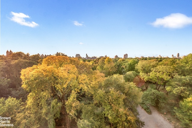 view of local wilderness with a wooded view