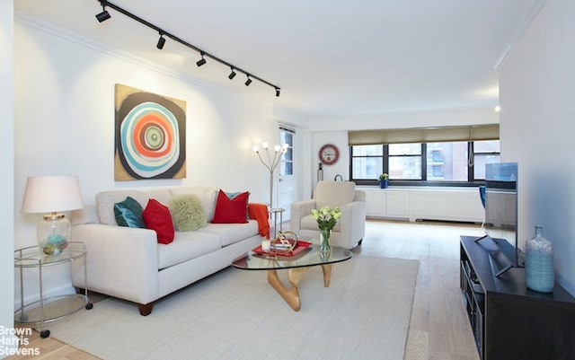 living room with crown molding, track lighting, and light hardwood / wood-style flooring