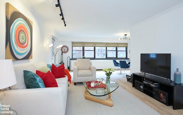 living room with crown molding, rail lighting, and light hardwood / wood-style flooring