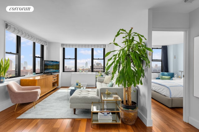 living room featuring light wood-type flooring and a wealth of natural light