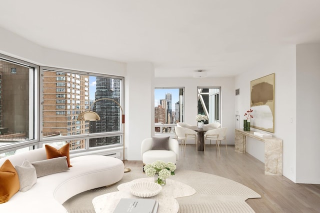 living room with a skyline view, healthy amount of natural light, and wood finished floors