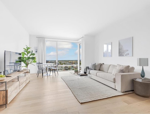 living room with expansive windows and light hardwood / wood-style flooring