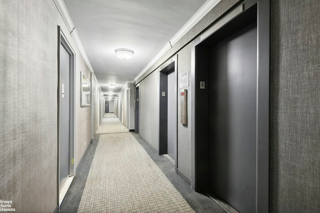 139 E 33rd St Unit 2C, New York City, NY 10016 - corridor with elevator, carpet, and crown molding