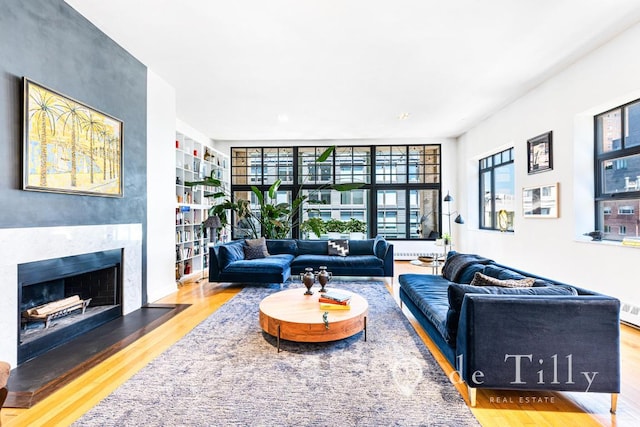 living room with a fireplace and hardwood / wood-style floors