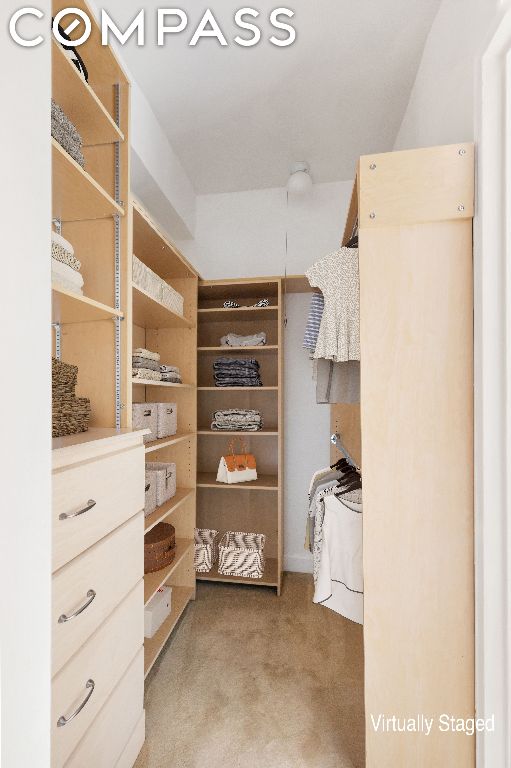 spacious closet featuring light colored carpet