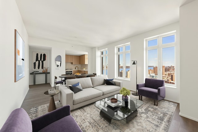 543 W 122nd St Unit 27A, New York City, NY 10027 - living area featuring wood finished floors and baseboards