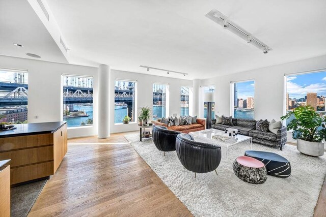 living room featuring rail lighting, a water view, a healthy amount of sunlight, and light wood-type flooring