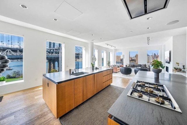 kitchen featuring sink, light hardwood / wood-style flooring, stainless steel gas cooktop, and a spacious island