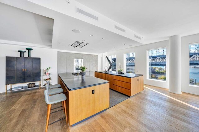 dining room featuring a water view and light hardwood / wood-style flooring