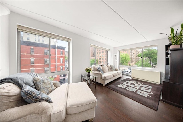 living room with dark hardwood / wood-style floors