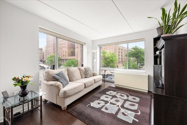 living room featuring radiator, a wealth of natural light, and dark hardwood / wood-style flooring