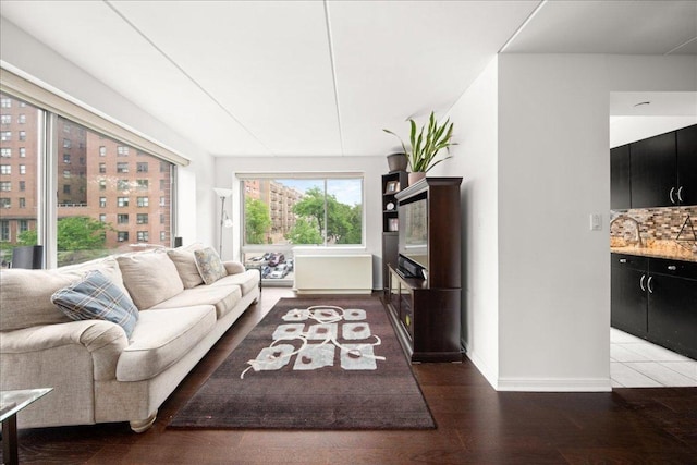 living room with sink and hardwood / wood-style flooring