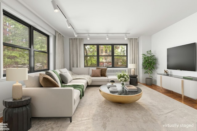 living area featuring wood finished floors and rail lighting