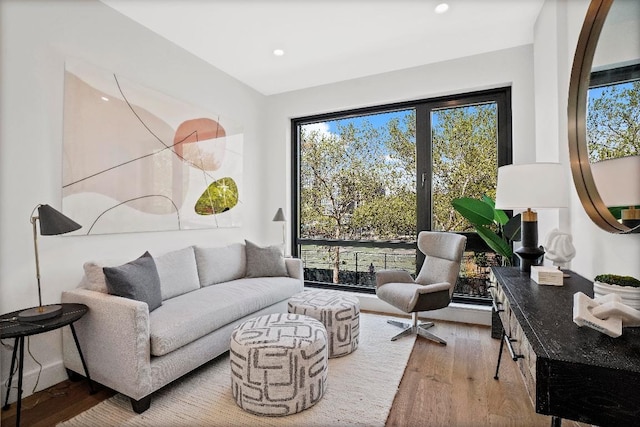 living room with wood-type flooring