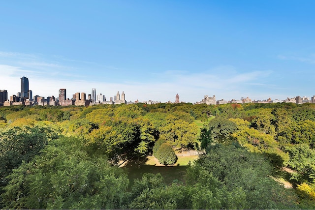 view of landscape featuring a city view