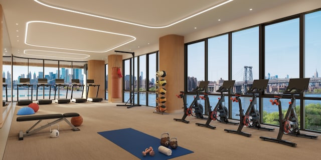 workout area featuring carpet flooring and a view of skyline