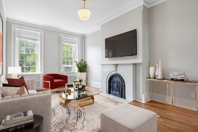 living room featuring crown molding and light hardwood / wood-style flooring