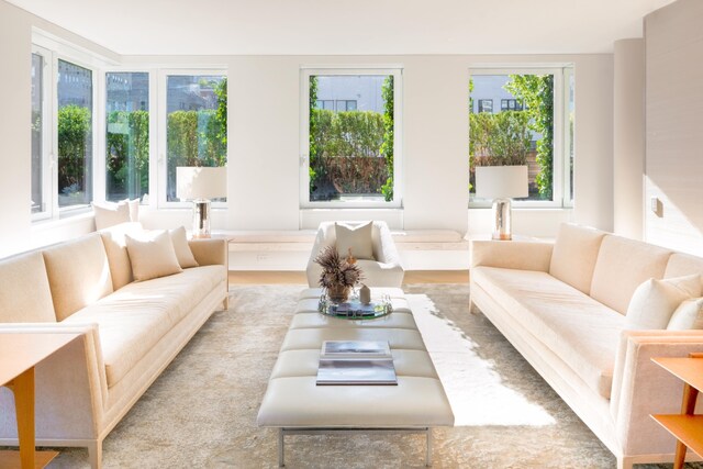 sitting room with wood-type flooring and a healthy amount of sunlight