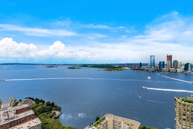 property view of water with a city view