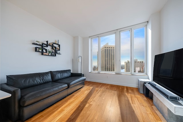 living room featuring light hardwood / wood-style flooring