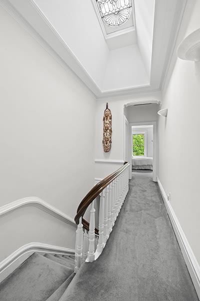 hallway with crown molding and carpet