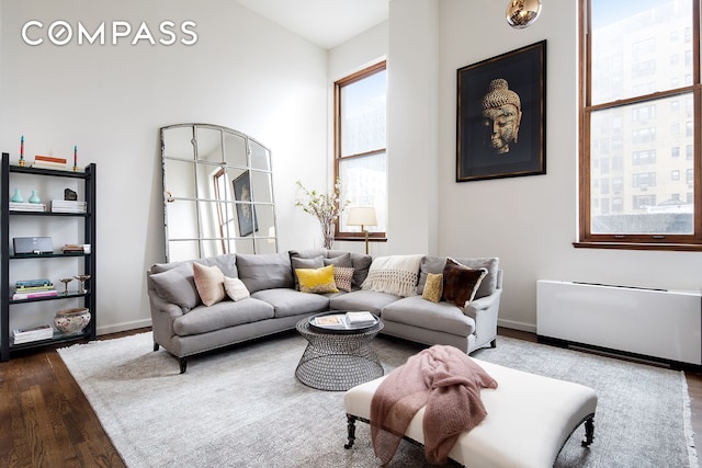 living area featuring radiator, baseboards, vaulted ceiling, and dark wood-type flooring