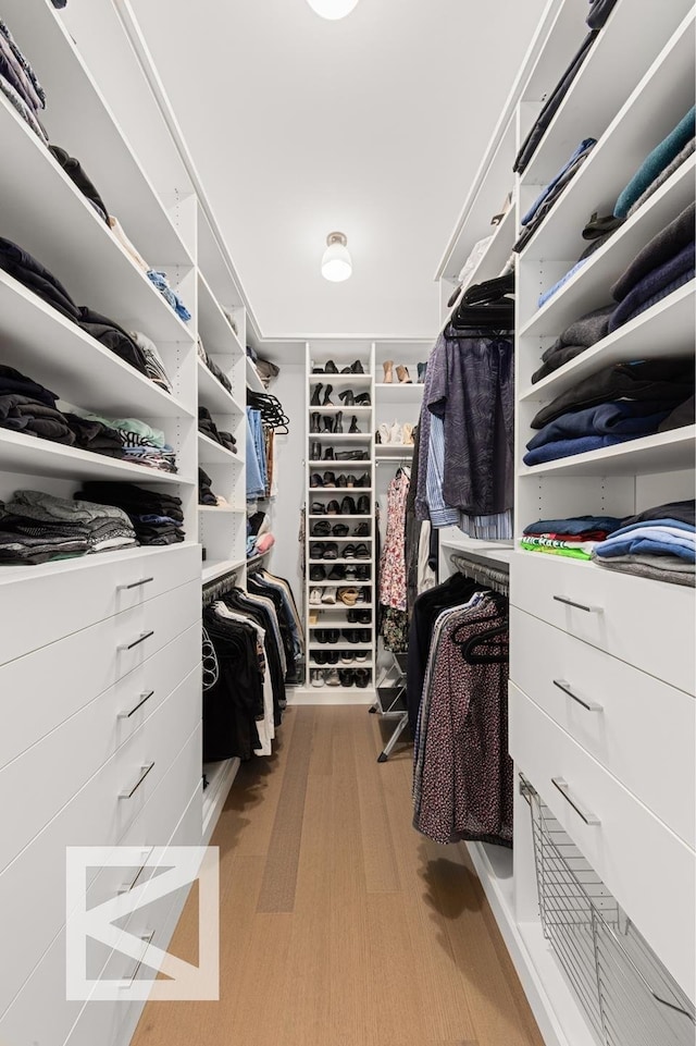 view of walk in closet