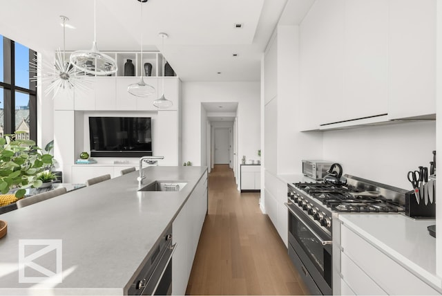 kitchen featuring a sink, wood finished floors, high end range, white cabinetry, and modern cabinets