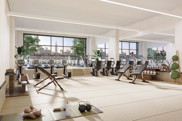 exercise room with plenty of natural light