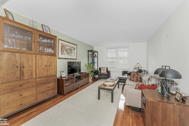 living room featuring hardwood / wood-style floors