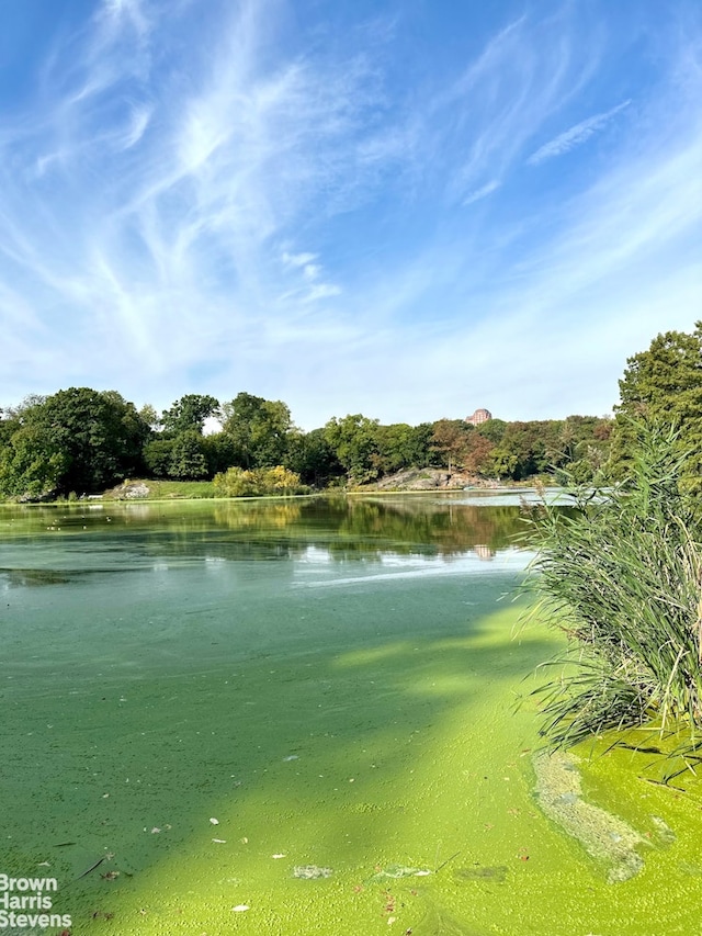 property view of water