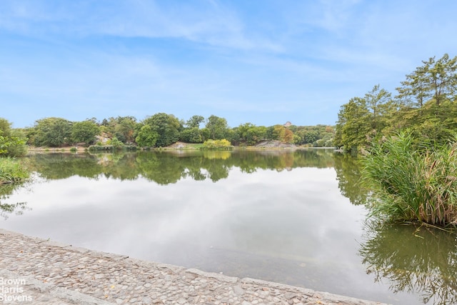 view of water feature