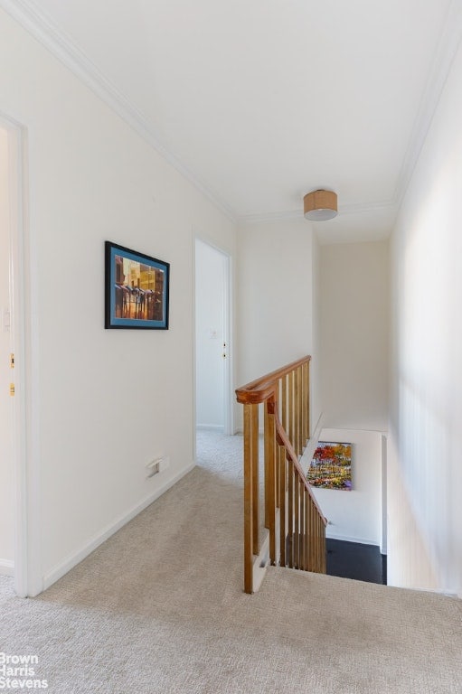 hallway featuring light colored carpet and ornamental molding