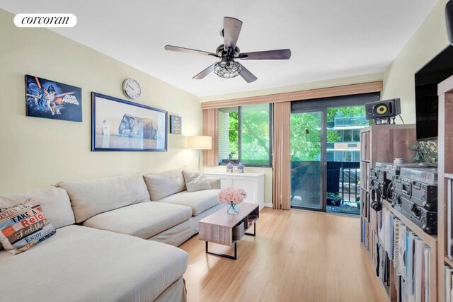 living room with ceiling fan and light wood-type flooring