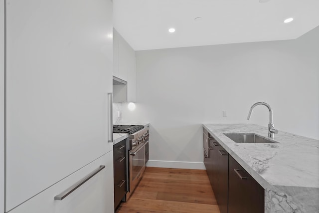 kitchen featuring a sink, high end stove, light wood-style floors, under cabinet range hood, and modern cabinets