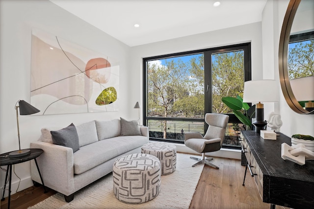 living area with recessed lighting and hardwood / wood-style floors