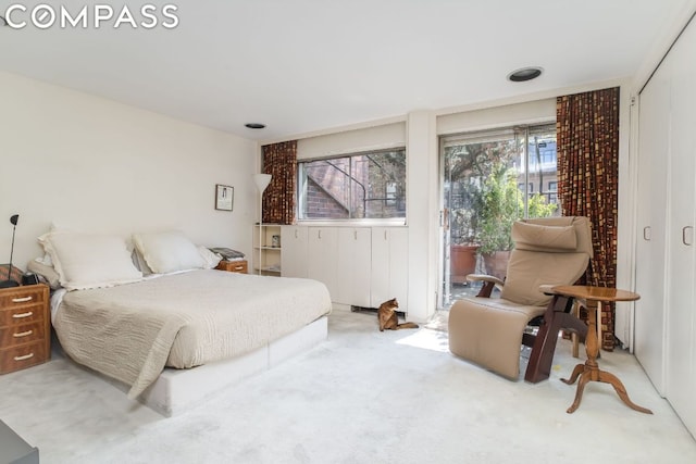 bedroom featuring carpet and a closet