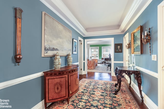 hall featuring dark wood-type flooring and crown molding