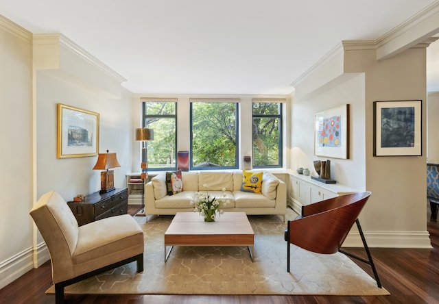 living room with wood-type flooring and ornamental molding