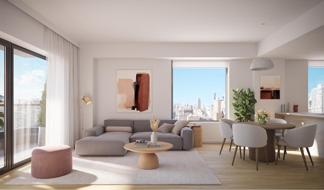 living room featuring a view of city and light wood-style floors