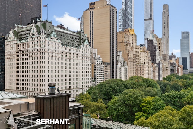 2 E 61st St Unit 1001/1003, New York City, NY 10021 - view of city skyline