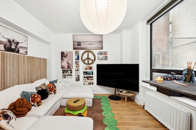 living area featuring radiator and wood finished floors