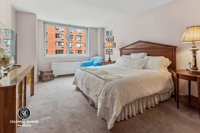 bedroom with carpet flooring